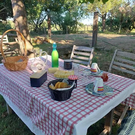 Homestay Mas De L'affenage Saint-Laurent-d'Aigouze